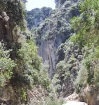 Εντυπωσιακά βραχώδη τοιχώματα και στριφτός δρόμος μέσα στο καταπράσινο φαράγγι Θερίσου κοντά στα Χανιά