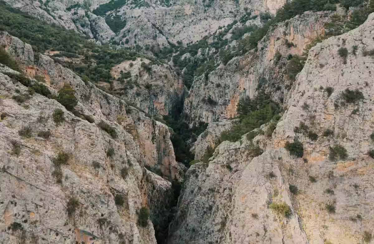 Βαθείς τραχείς βράχοι και πλούσια βλάστηση μέσα στο εντυπωσιακό φαράγγι Ρίχτης στη Σητεία, Ανατολική Κρήτη