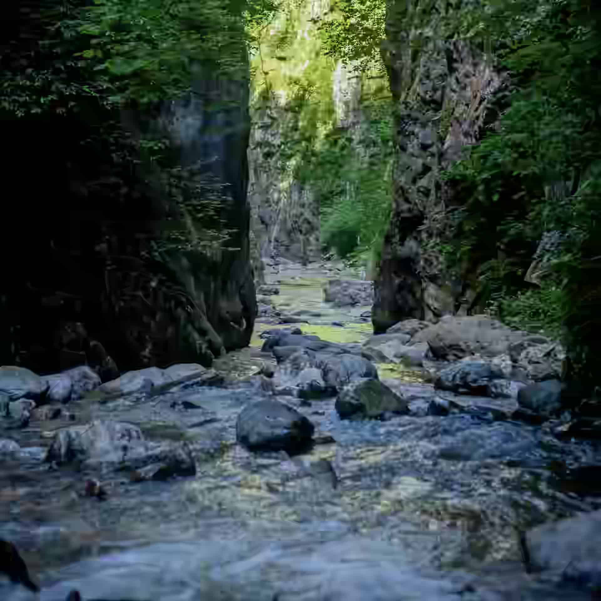 Ein klarer, steiniger Fluss zwischen den engen, bewaldeten Felswänden der Rugova-Schlucht.