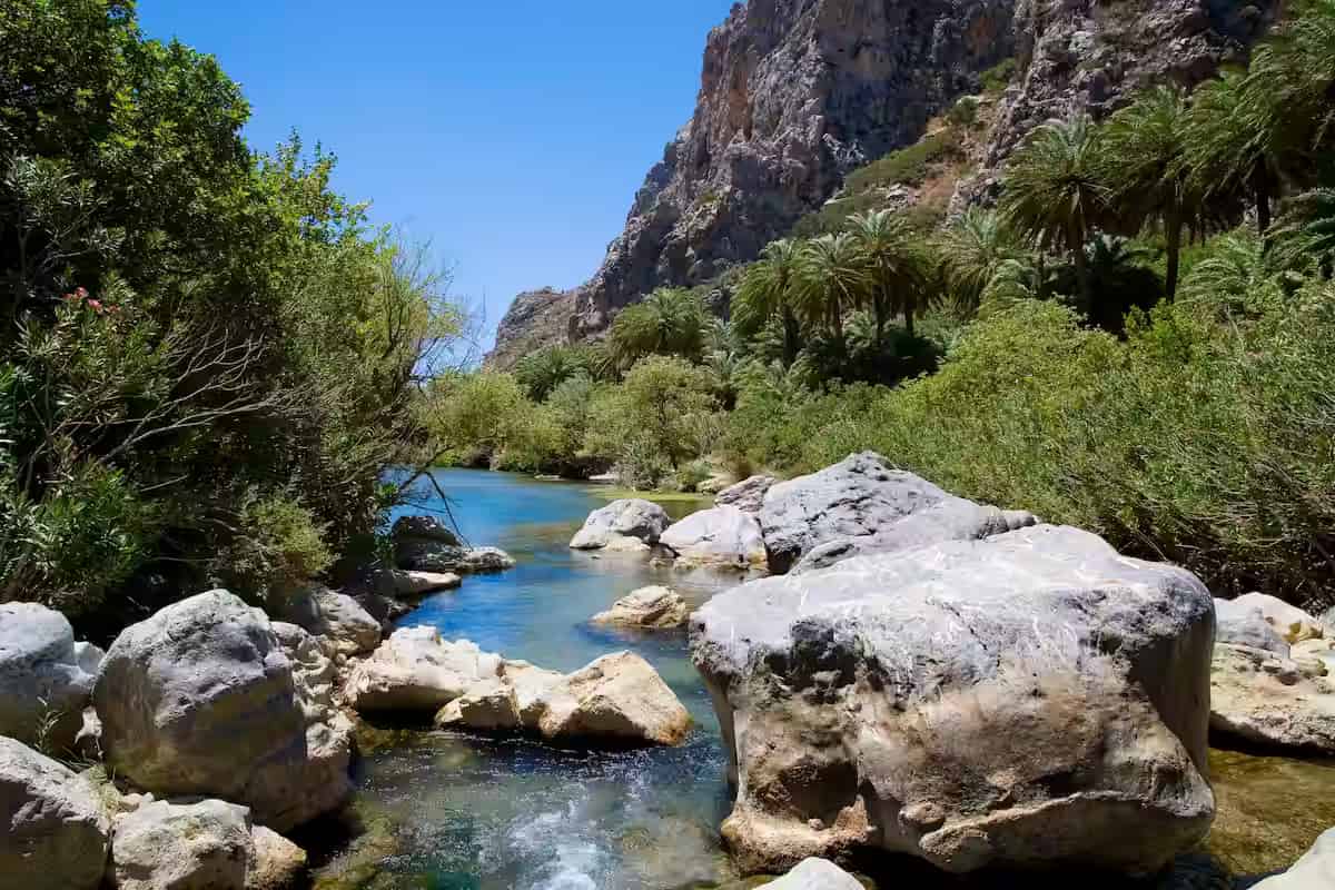 Εξωτικό φοινικόδασος Πρέβελη (Φοινικοδάσος) όπου ο Μεγαλοπόταμος συναντά τη θάλασσα κοντά στο Ρέθυμνο, Νότια Κρήτη