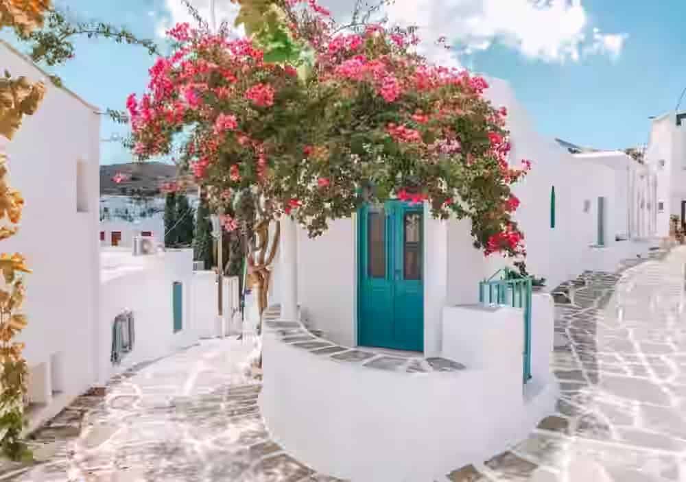 Un tradizionale vicolo imbiancato nel villaggio di montagna di Lefkes, Paros, con un albero di bouganville rosa acceso e una classica porta in legno blu. Scopri le gemme nascoste di Paros con un noleggio auto Karpadu.