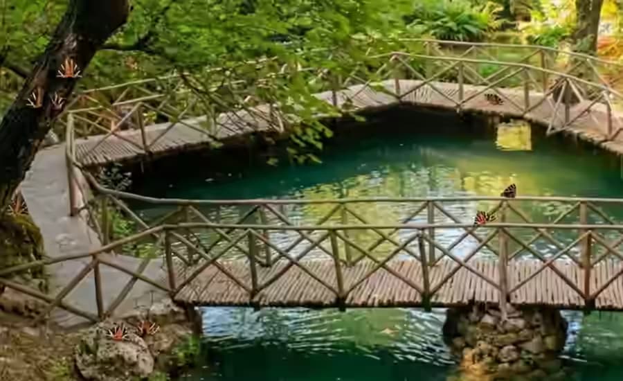Holzbrücken über einem grünen Teich im Schmetterlingstal auf Rhodos – ein wunderschöner Naturausflug mit dem Karpadu Mietwagen.