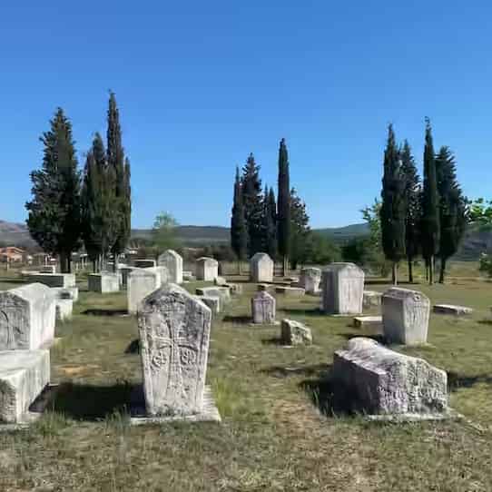 Veliki srednjovekovni klesani kameni nadgrobni spomenici na travnatoj livadi oivičenoj čempresima u Radimlji, Bosna i Hercegovina.