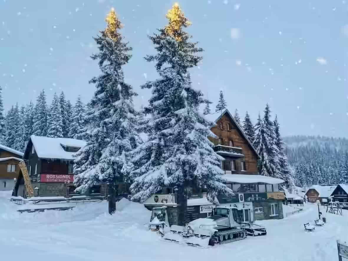 Verschneite Kiefern und eine Holzhütte mit geparkter Pistenraupe im Gebiet Aleko auf der Witoscha, Bulgarien.