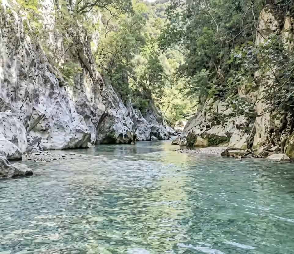 Eau claire s'écoulant à travers une gorge rocheuse et boisée sur la rivière Achéron en Grèce.