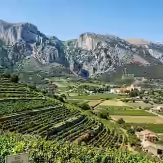 Vigneti Robola a terrazza nella Valle Omala a Cefalonia con montagne calcaree sullo sfondo, zona viticola DOP, Grecia
