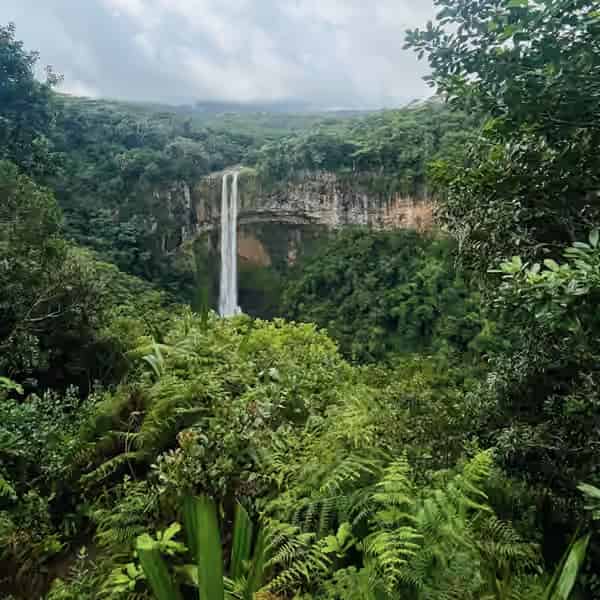 Ein malerischer tropischer Wasserfall im üppigen grünen Regenwald des Nationalparks Black River Gorges.