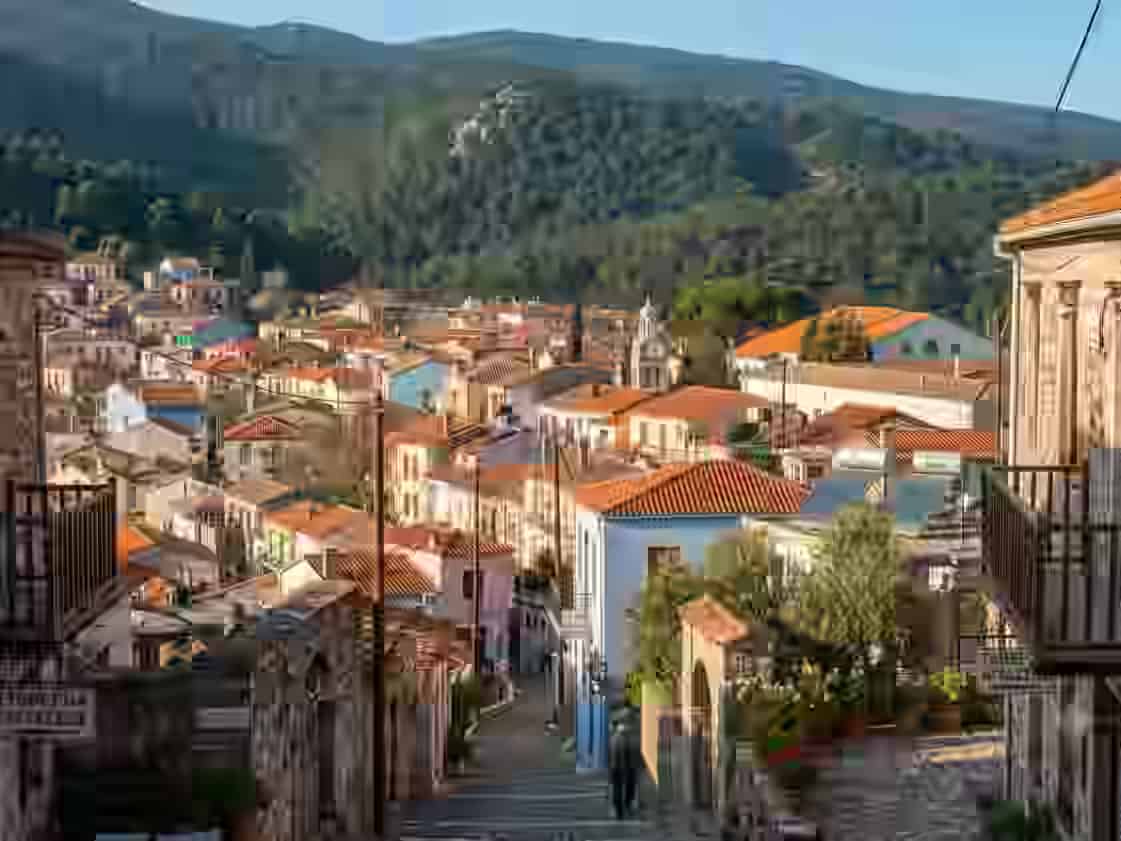 Vue panoramique sur le village de montagne traditionnel d'Agiasos, avec une rue pavée escarpée bordée de maisons en pierre historiques, de toits en terre cuite et de balcons en bois, niché devant une toile de fond de denses forêts de pins verdoyantes, à Lesbos, Grèce.