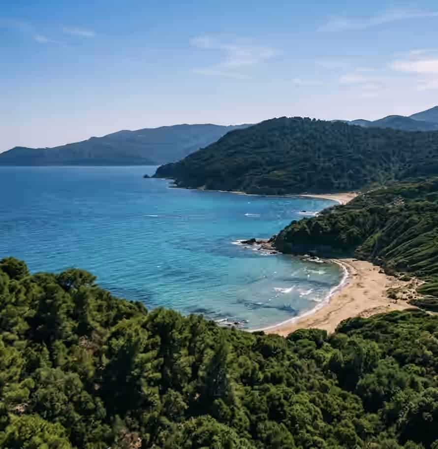Aerial view of Aselinos beach in Skiathos, Greece, showing a sandy cove surrounded by dense green pine forests and blue sea.