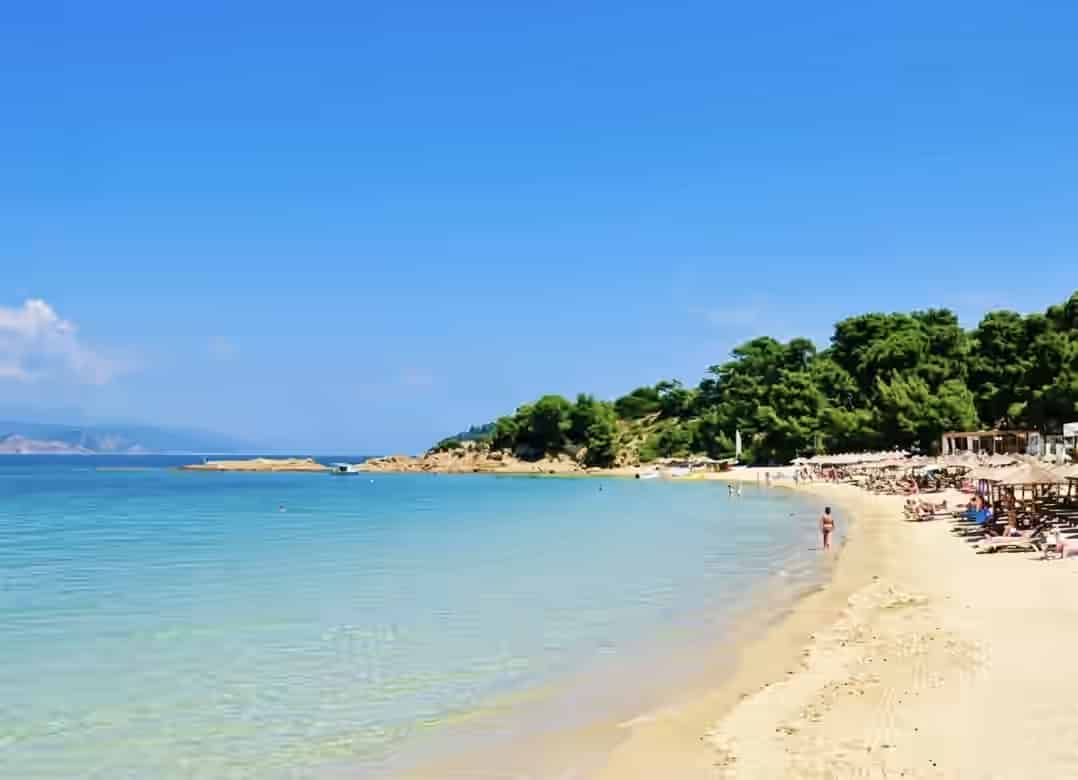Sandy shoreline of Banana beach in Skiathos, Greece, featuring sun loungers, clear shallow water, and a tree-lined coast.
