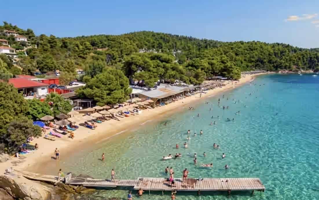 Aerial view of a sandy beach in Skiathos, Greece, with swimmers in turquoise water, a wooden pier, and beach facilities backed by a green pine forest.
