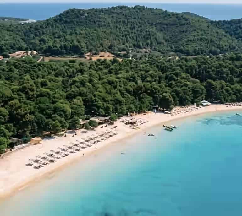 Aerial view of Koukounaries beach in Skiathos, Greece, showing a sandy shoreline with sun loungers backed by a dense pine forest and clear water.